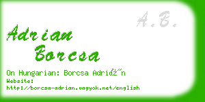 adrian borcsa business card